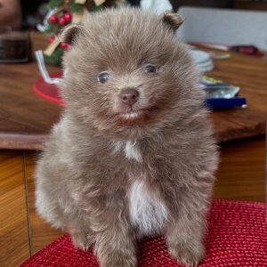 6E2FE49C-D63D-43F8-8D21-531808CAEB53